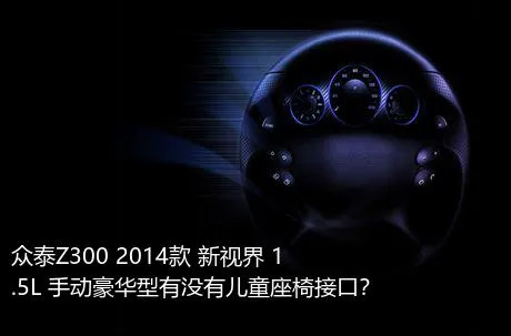 众泰Z300 2014款 新视界 1.5L 手动豪华型有没有儿童座椅接口？