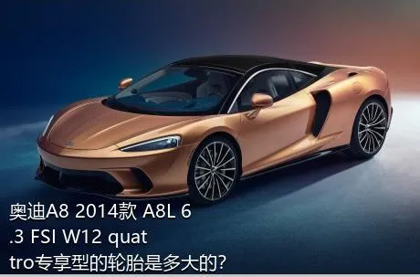 奥迪A8 2014款 A8L 6.3 FSI W12 quattro专享型的轮胎是多大的？