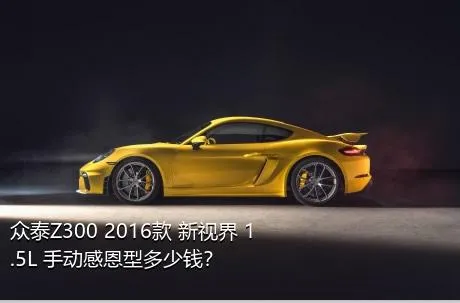众泰Z300 2016款 新视界 1.5L 手动感恩型多少钱？