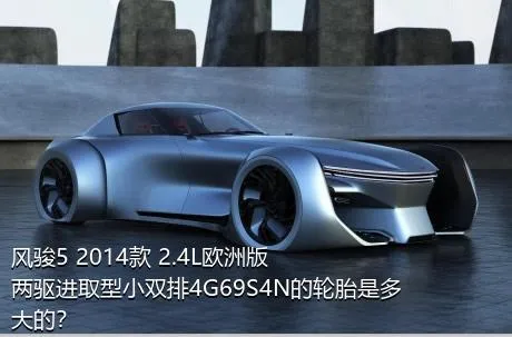 风骏5 2014款 2.4L欧洲版 两驱进取型小双排4G69S4N的轮胎是多大的？