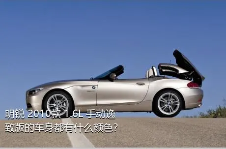 明锐 2010款 1.6L 手动逸致版的车身都有什么颜色？