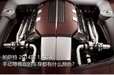 帕萨特 2014款 1.4TSI 手动尊雅版的车身都有什么颜色？