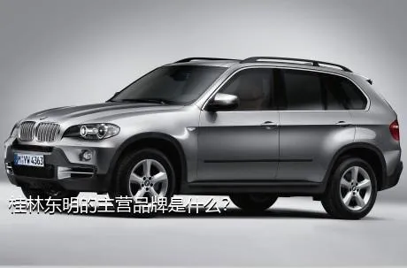 桂林东明的主营品牌是什么？