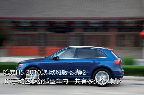 哈弗H5 2010款 欧风版 绿静2.0T手动四驱舒适型车内一共有多少个喇叭？