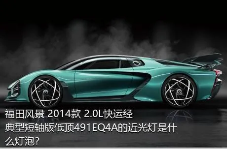 福田风景 2014款 2.0L快运经典型短轴版低顶491EQ4A的近光灯是什么灯泡？