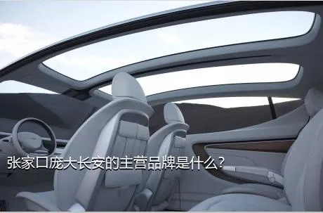 张家口庞大长安的主营品牌是什么？