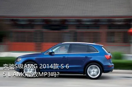 奔驰S级AMG 2014款 S 65 L AMG能放MP3吗？