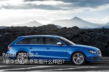 Passat 2003款 2.3豪华型的前悬架是什么样的？