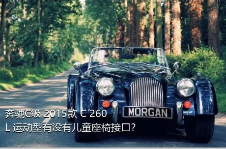奔驰C级 2015款 C 260 L 运动型有没有儿童座椅接口？