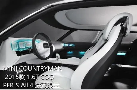 MINI COUNTRYMAN 2015款 1.6T COOPER S All 4 进藏限量版能跑多快？