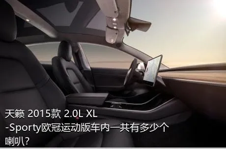天籁 2015款 2.0L XL-Sporty欧冠运动版车内一共有多少个喇叭？