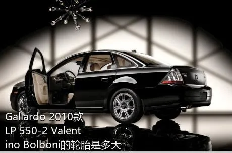 Gallardo 2010款 LP 550-2 Valentino Bolboni的轮胎是多大的？