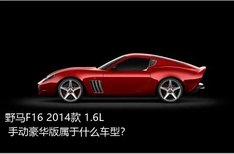 野马F16 2014款 1.6L 手动豪华版属于什么车型？