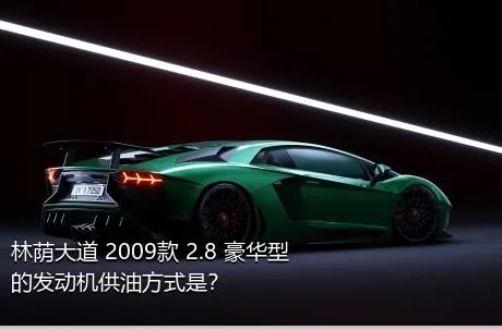 林荫大道 2009款 2.8 豪华型的发动机供油方式是？
