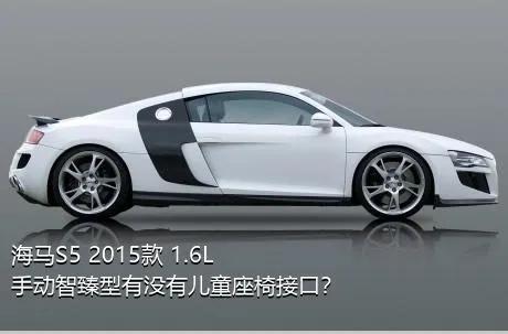 海马S5 2015款 1.6L 手动智臻型有没有儿童座椅接口？