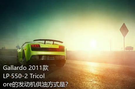 Gallardo 2011款 LP 550-2 Tricolore的发动机供油方式是？