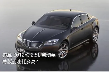 睿翼 2012款 2.5L 自动至尊版的油耗多高？
