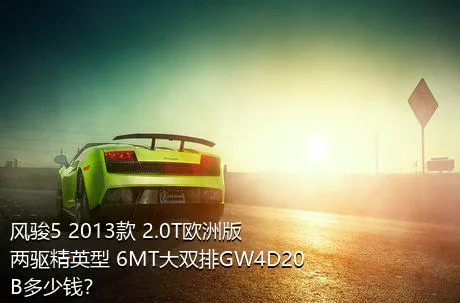风骏5 2013款 2.0T欧洲版 两驱精英型 6MT大双排GW4D20B多少钱？