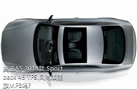 奥迪A5 2014款 Sportback 45 TFSI风尚版能放MP3吗？