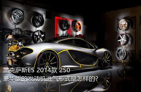 雷克萨斯ES 2014款 250 豪华版的发动机进气形式是怎样的？