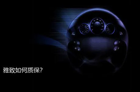 雅致如何质保？