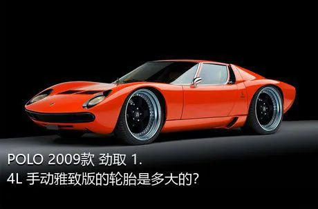 POLO 2009款 劲取 1.4L 手动雅致版的轮胎是多大的？
