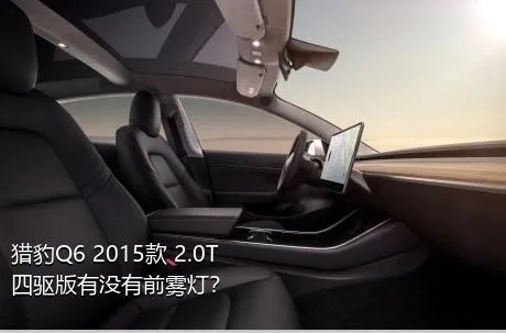 猎豹Q6 2015款 2.0T 四驱版有没有前雾灯？