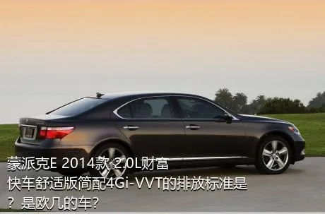 蒙派克E 2014款 2.0L财富快车舒适版简配4Gi-VVT的排放标准是？是欧几的车？