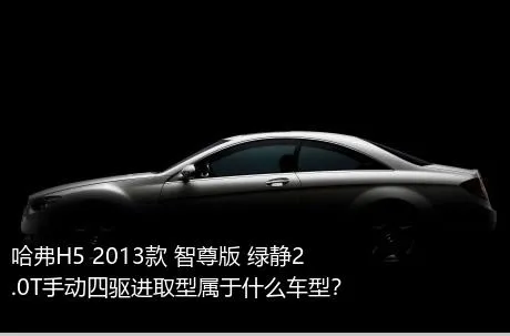 哈弗H5 2013款 智尊版 绿静2.0T手动四驱进取型属于什么车型？