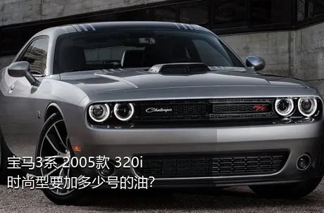 宝马3系 2005款 320i 时尚型要加多少号的油？