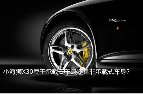 小海狮X30属于承载式车身还是非承载式车身？