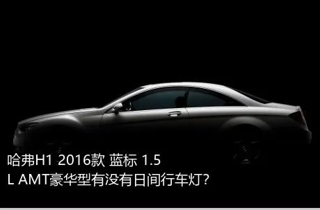 哈弗H1 2016款 蓝标 1.5L AMT豪华型有没有日间行车灯？