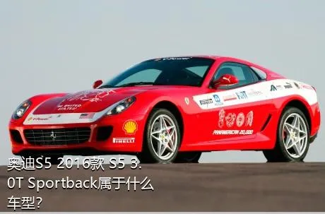 奥迪S5 2016款 S5 3.0T Sportback属于什么车型？