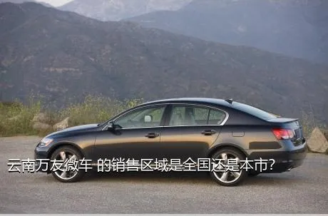 云南万友微车 的销售区域是全国还是本市？