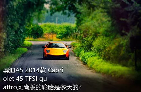 奥迪A5 2014款 Cabriolet 45 TFSI quattro风尚版的轮胎是多大的？