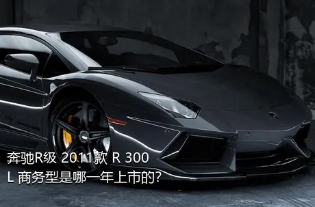 奔驰R级 2011款 R 300 L 商务型是哪一年上市的？