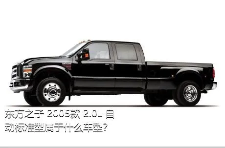 东方之子 2005款 2.0L 自动标准型属于什么车型？