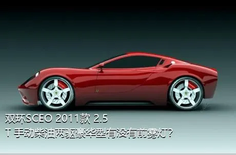 双环SCEO 2011款 2.5T 手动柴油两驱豪华型有没有前雾灯？