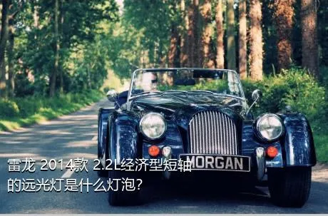 雷龙 2014款 2.2L经济型短轴的远光灯是什么灯泡？