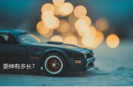 菱绅有多长？