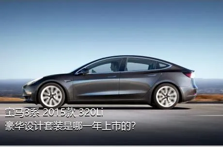 宝马3系 2015款 320Li 豪华设计套装是哪一年上市的？