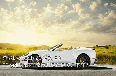 奔驰E级(进口) 2009款 E 300 优雅型的排放标准是？是欧几的车？