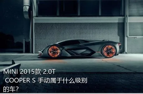 MINI 2015款 2.0T COOPER S 手动属于什么级别的车？