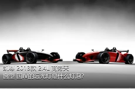 凯尊 2013款 2.4L 商务天窗型 国IV的远光灯是什么灯泡？