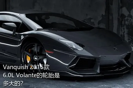 Vanquish 2015款 6.0L Volante的轮胎是多大的？