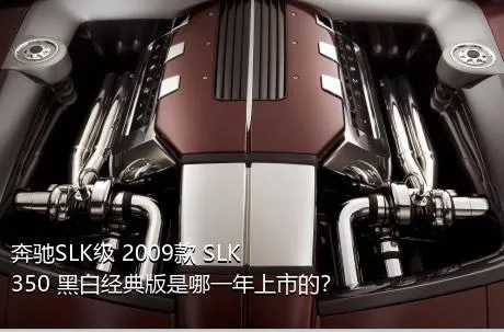 奔驰SLK级 2009款 SLK 350 黑白经典版是哪一年上市的？