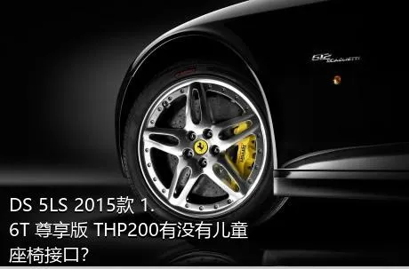 DS 5LS 2015款 1.6T 尊享版 THP200有没有儿童座椅接口？