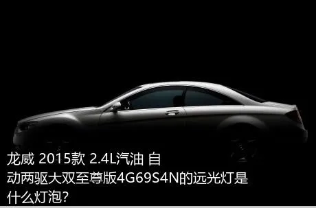 龙威 2015款 2.4L汽油 自动两驱大双至尊版4G69S4N的远光灯是什么灯泡？