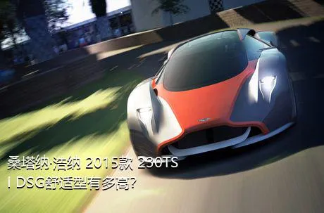 桑塔纳·浩纳 2015款 230TSI DSG舒适型有多高？