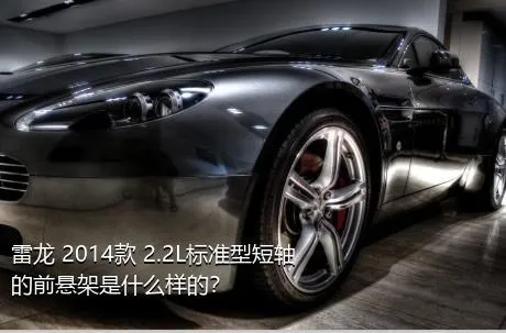 雷龙 2014款 2.2L标准型短轴的前悬架是什么样的？